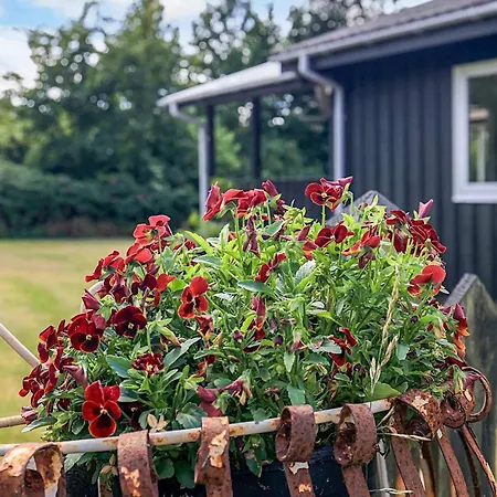 2 Person In Thyholm-by Traum Dom wakacyjny *